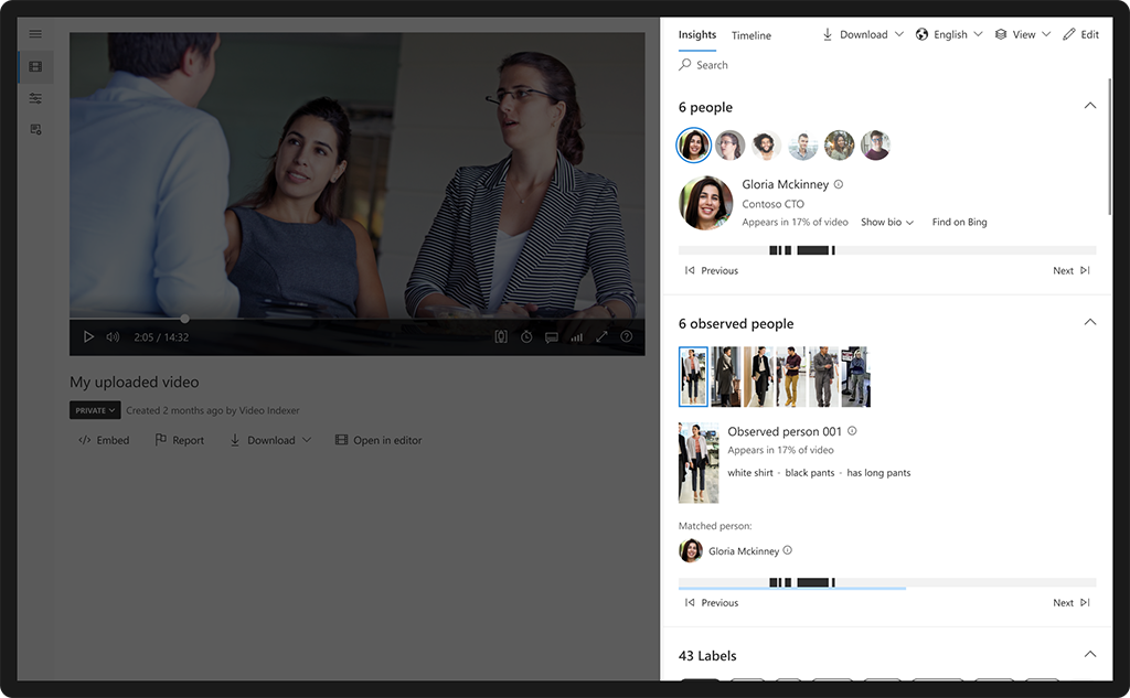 Screenshot of Azure AI Video Indexer's insights pane